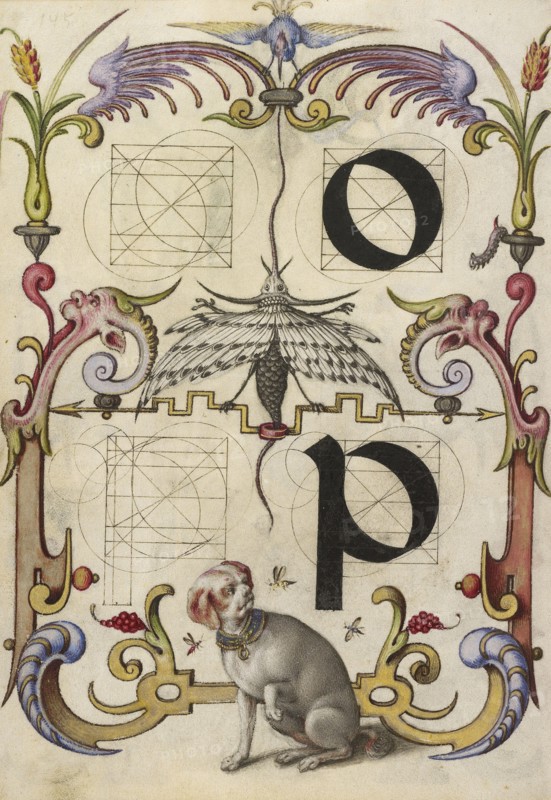 Guide for Constructing the Letters o and p; Joris Hoefnagel, Flemish , Hungarian, 1542 - 1600, Vienna, Austria; about 1591