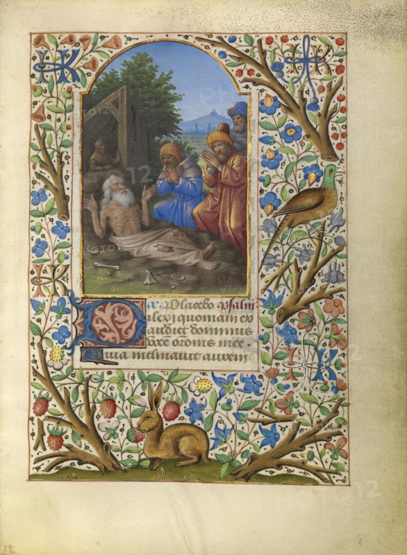 Job on the Dung Heap; Jean Bourdichon, French, 1457 - 1521, Tours, France; about 1480–1485; Tempera colors, gold, and ink