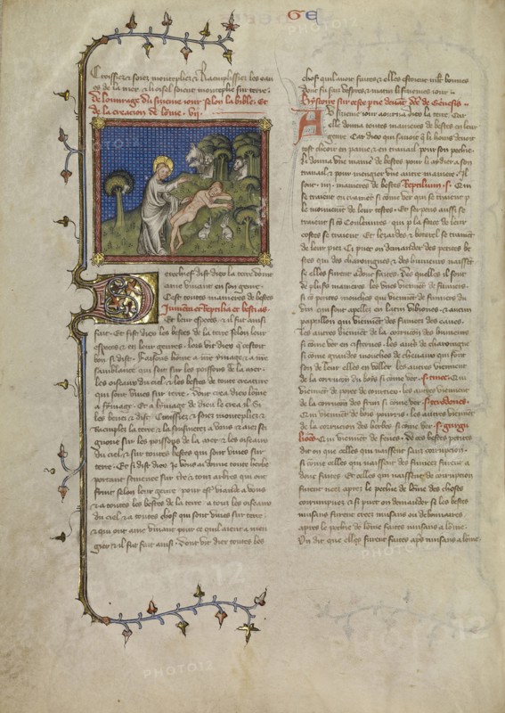 The Creation of Adam; Master of Jean de Mandeville, French, active 1350 - 1370, Paris, France; about 1360 - 1370; Tempera