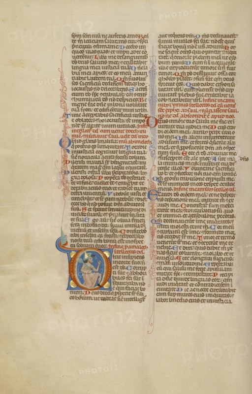 Initial D: The Fool; Bologna, Emilia-Romagna, Italy; about 1280 - 1290; Tempera colors, gold leaf, and ink on parchment; Leaf