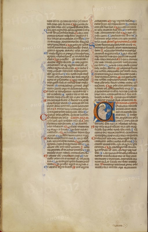 Initial C: A Dominican in Prayer; Bologna, Emilia-Romagna, Italy; about 1280 - 1290; Tempera colors, gold leaf, and ink