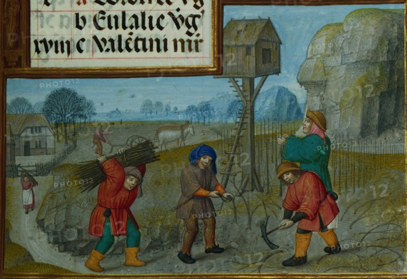 Working in a Vineyard; Zodiacal Sign of Pisces; Workshop of the Master of James IV of Scotland, Flemish, before 1465