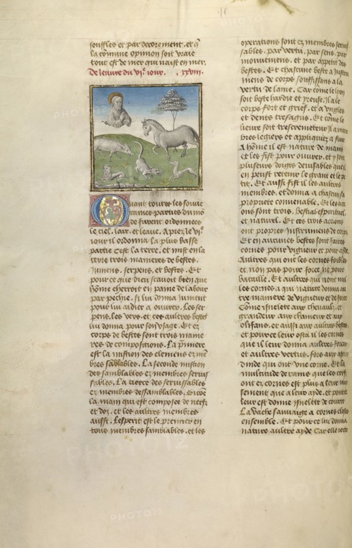 The Creation of Animals; Ghent, Belgium; about 1475; Tempera colors, gold leaf, and gold paint on parchment; Leaf