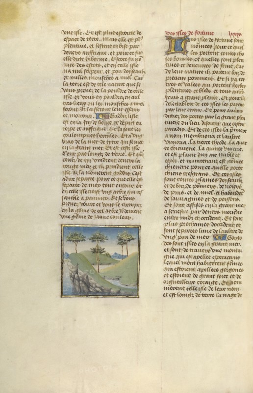 Islands in the Sea; Ghent, Belgium; about 1475; Tempera colors, gold leaf, and gold paint on parchment; Leaf: 43.8 × 30.5 cm