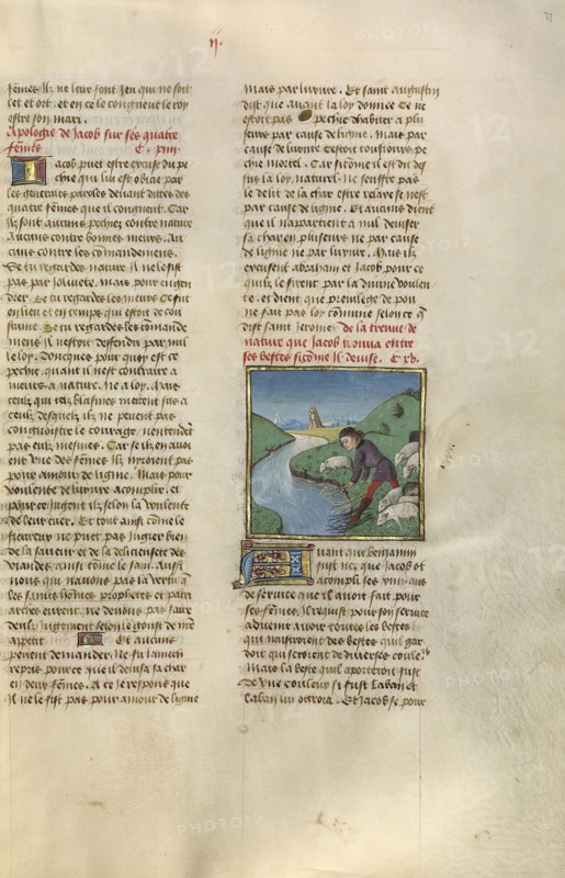 Jacob Washing the Osier Switch; Ghent, Belgium; about 1475; Tempera colors, gold leaf, and gold paint on parchment; Leaf