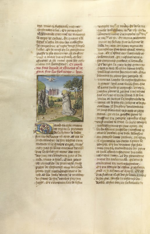 David in Prayer; Ghent, Belgium; about 1475; Tempera colors, gold leaf, and gold paint on parchment; Leaf: 43.8 x 30.5 cm