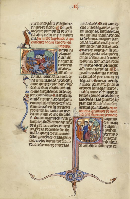 Initial E: Riders on Horseback; Initial S: A Judge and Men with Axes in a Vineyard; Unknown, Michael Lupi de Çandiu, Spanish