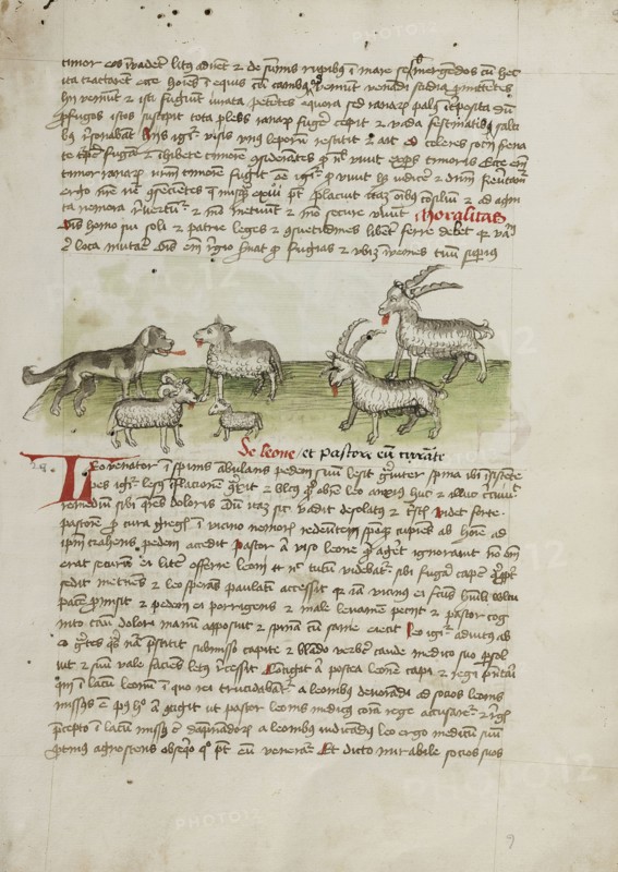 A Dog, Sheep, and Rams; Trier, probably, Germany; third quarter of 15th century; Pen and black ink and colored washes on paper