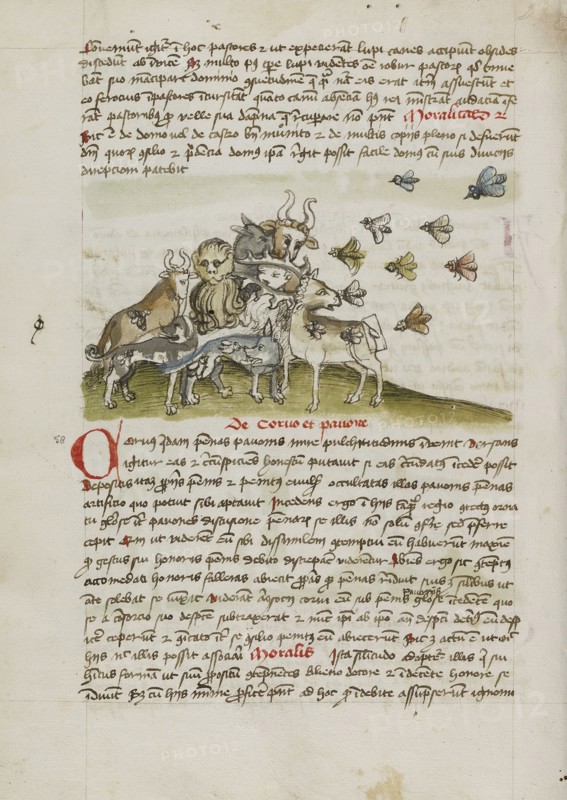 A Swarm of Insects Flying above a Group of Animals; Trier, probably, Germany; third quarter of 15th century; Pen and black ink