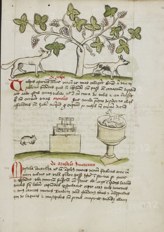 A Weasel and Several Captured Mice; Trier, probably, Germany; third quarter of 15th century; Pen and black ink and colored