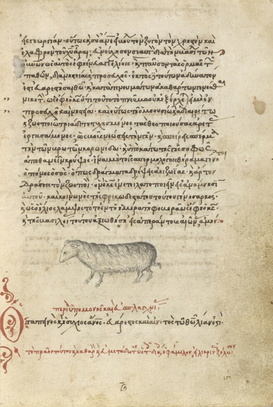 A Sheep; Crete, Greece; 1510 - 1520; Pen and red lead and iron gall inks, watercolors, tempera colors, and gold paint on paper