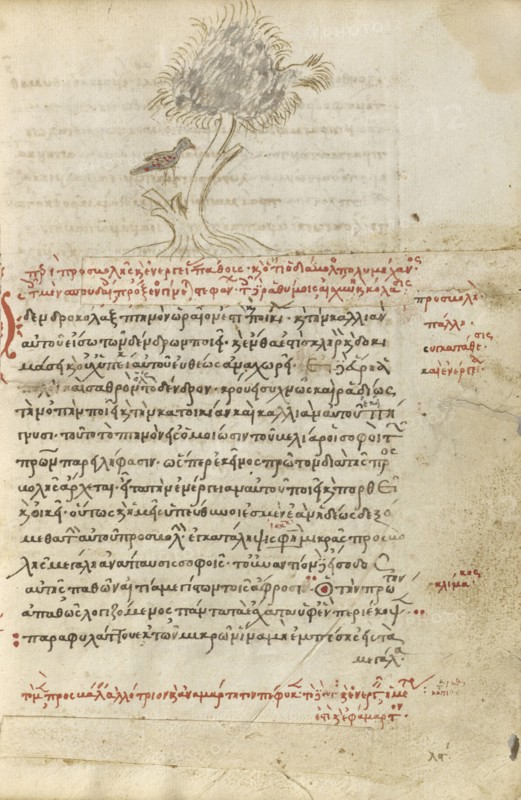 A Bird Sitting in a Tree; Crete, Greece; 1510 - 1520; Pen and red lead and iron gall inks, watercolors, tempera colors, and gold
