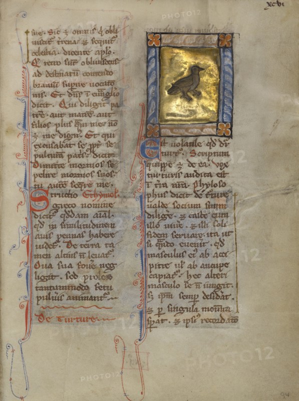 A Turtle Dove; Thérouanne ?, France, formerly Flanders, Europe; about 1270; Tempera colors, gold leaf, and ink on parchment