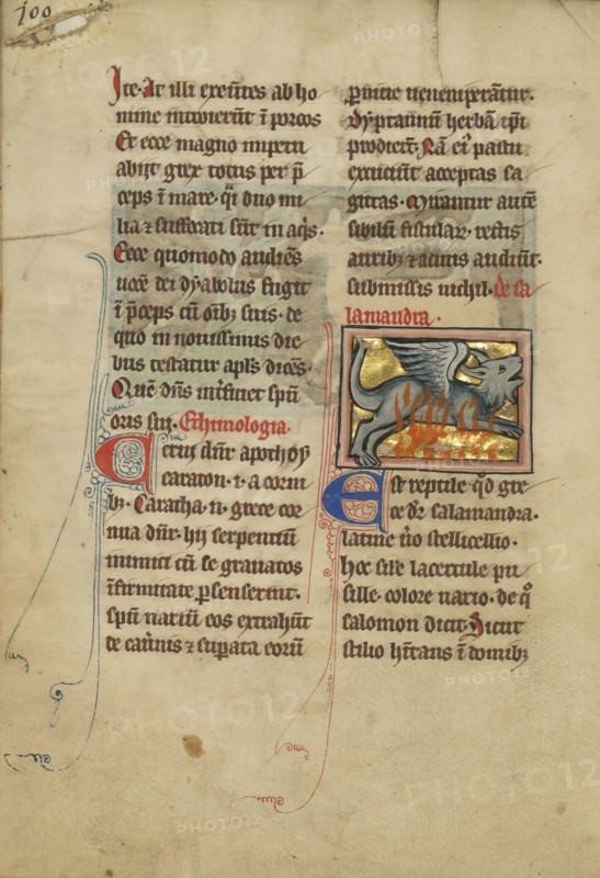 A Salamander; Thérouanne ?, France, formerly Flanders, fourth quarter of 13th century, after 1277, Tempera colors, pen and ink