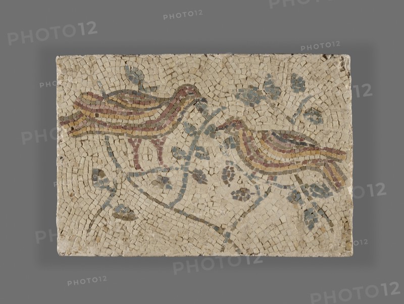 Fragment of a Mosaic with Birds; Rome, Lazio, Italy; 3rd or 4th century; Stone mosaic tesserae; 23.5 × 34 cm, 9 1,4 × 13 3,8 in