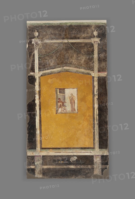 Wall Panel from a Black Ground Frescoed Room; Boscoreale, Italy; 1 - 50; Fresco; 247 × 130 cm, 97 1,4 × 51 3,16 in