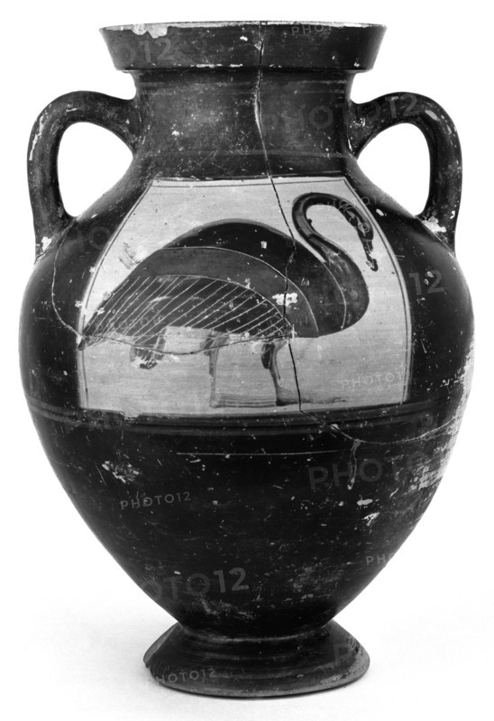 Attic Black-Figure Amphora; Athens, Greece; 550 - 550 B.C; Terracotta; 36.8 cm, 14 1,2 in