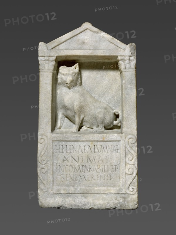 Gravestone of Helena; Roman Empire; 150 - 200; Marble; 61 × 31.5 × 16 cm, 24 × 12 3,8 × 6 5,16 in