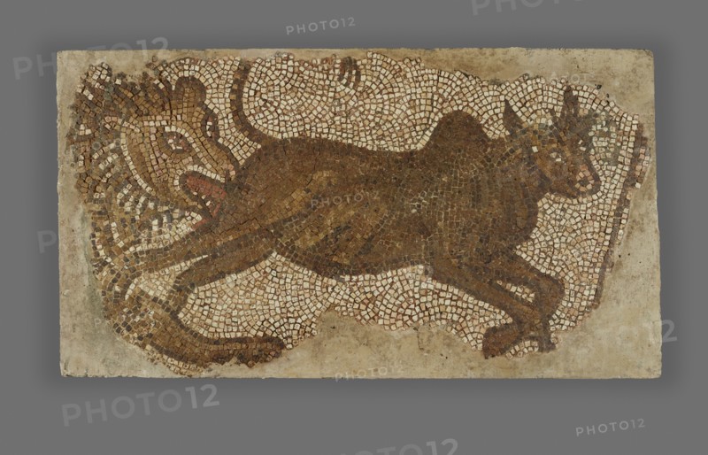 Mosaic of a Lion Chasing a Bull; Syria; 5th - 6th century; Mosaic; 81.3 × 149.9 × 6.4 cm, 32 × 59 × 2 1,2 in