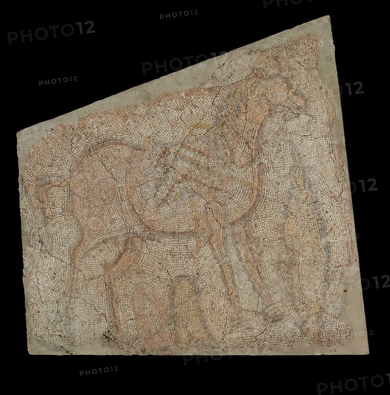 Mosaic of a Horse with Saddle; Syria; 5th - 6th century; Mosaic; 147.3 x 146 cm, 58 x 57 1,2 in