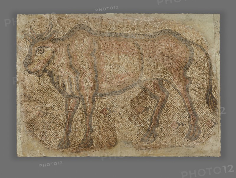 Mosaic of a Bull; Syria; 5th–6th century; Mosaic; 124.9 × 178.9 × 7.6 cm, 49 3,16 × 70 7,16 × 3 in