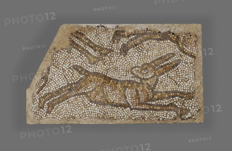 Mosaic of a Rabbit; Syria; 5th - 6th century; Mosaic; 68.6 x 114.3 cm, 27 x 45 in