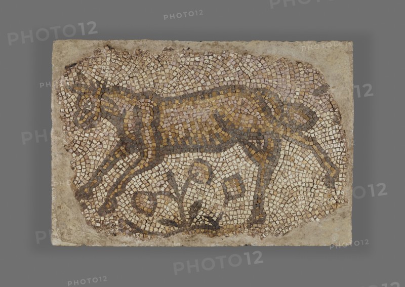 Mosaic Fragment of Bull; Syria; 5th - 6th century; Mosaic; 75 × 109.2 cm, 29 1,2 × 43 in