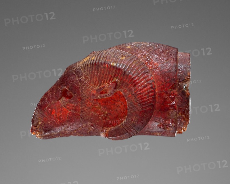 Pendant: Ram's Head; Italy; 525 - 480 B.C; Amber; 36 × 20 × 18 mm, 9 kg, 1 7,16 × 13,16 × 11,16 in., 19.8414 lb