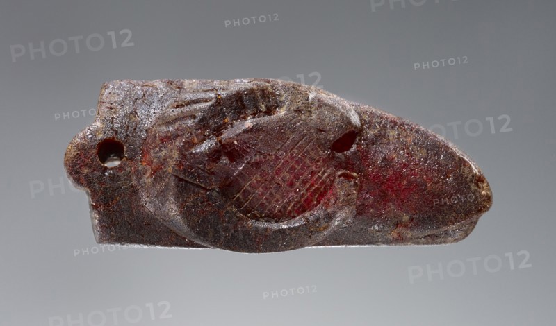 Pendant: Ram's Head; Italy; 500 - 400 B.C; Amber; 16 × 13 × 32 mm, 5,8 × 1,2 × 1 1,4 in