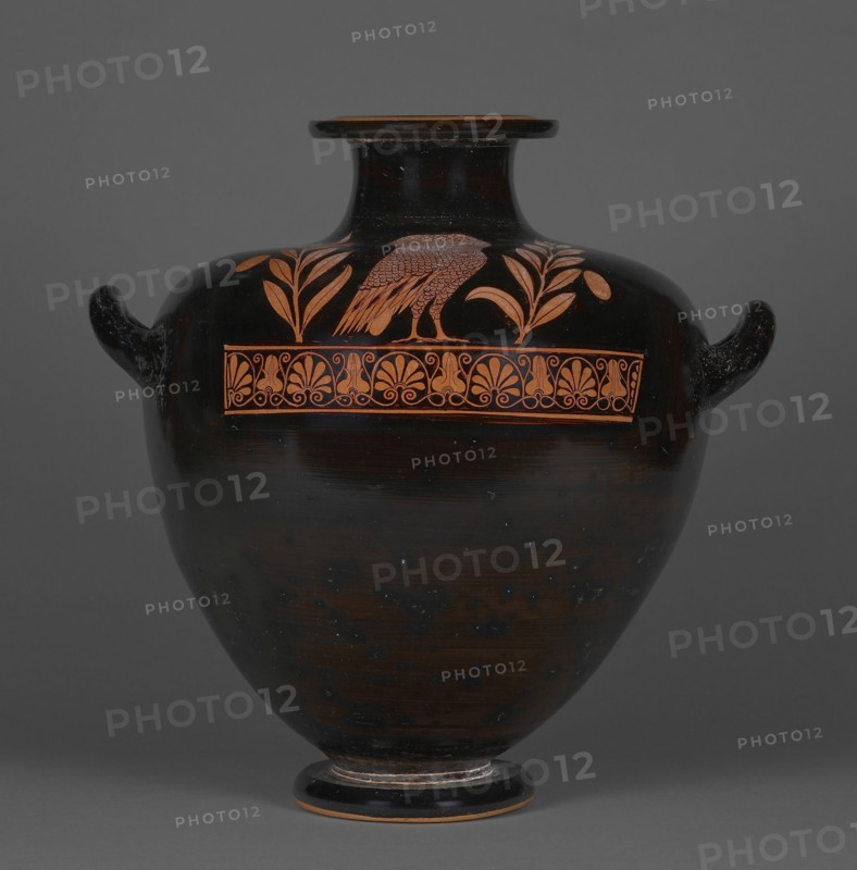 Water Jar with an Owl; Group of the Floral Nolans, Greek, Attic, active about 470 B.C., Athens, Greece; 480 - 470 B.C