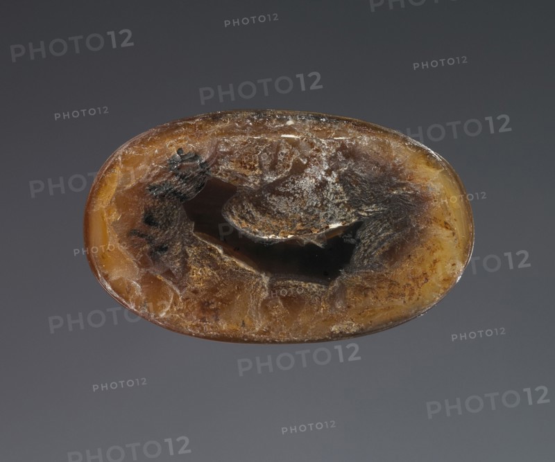 Cameo with a Lion; Roman Empire; 1st - 3rd century; Sardonyx; 2.3 × 1.4 × 1.1 cm, 7,8 × 9,16 × 7,16 in