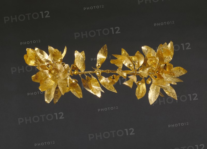 Gold Wreath; Greece; 300 - 100 B.C; Gold; 21.7 × 64.5 cm, 8 9,16 × 25 3,8 in