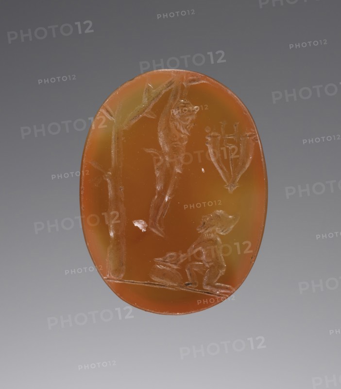 Engraved Gem; United States; 20th century?; Orange-Red Carnelian; 1.4 x 1.8 cm, 9,16 x 11,16 in