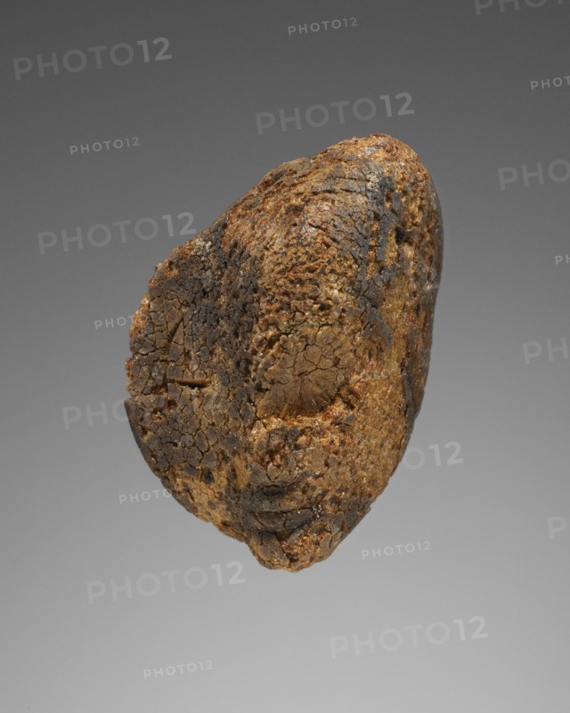 Pendant: Female Head; Italy; 425 - 400 B.C; Amber; 29 × 38 × 14 mm, 1 1,8 × 1 1,2 × 9,16 in