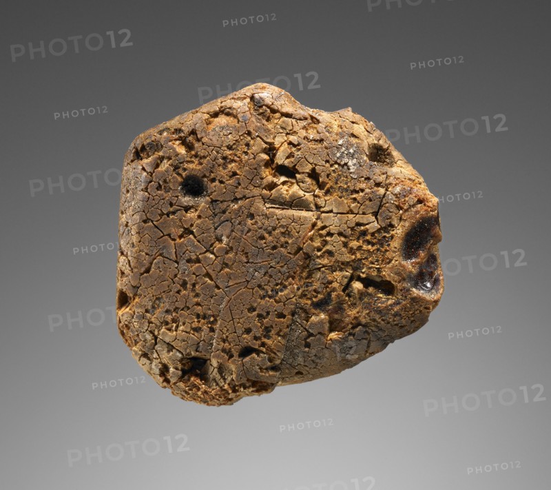 Pendant: Female Head in Profile; Italy; 425 - 400 B.C; Amber; 51 × 51 × 15.5 mm, 2 × 2 × 5,8 in