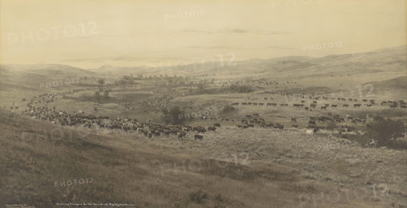 Throwing Rangers to the Round-up, Big Dry, Montana; Laton Alton Huffman, American, 1854 - 1931, 1907; Hand-colored gelatin