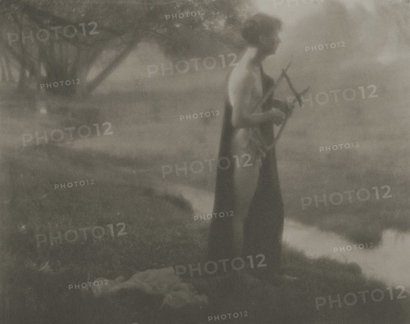 Untitled; George H. Seeley, American, 1880 - 1955, Stockbridge, Massachusetts, United States; about 1903; Platinum print