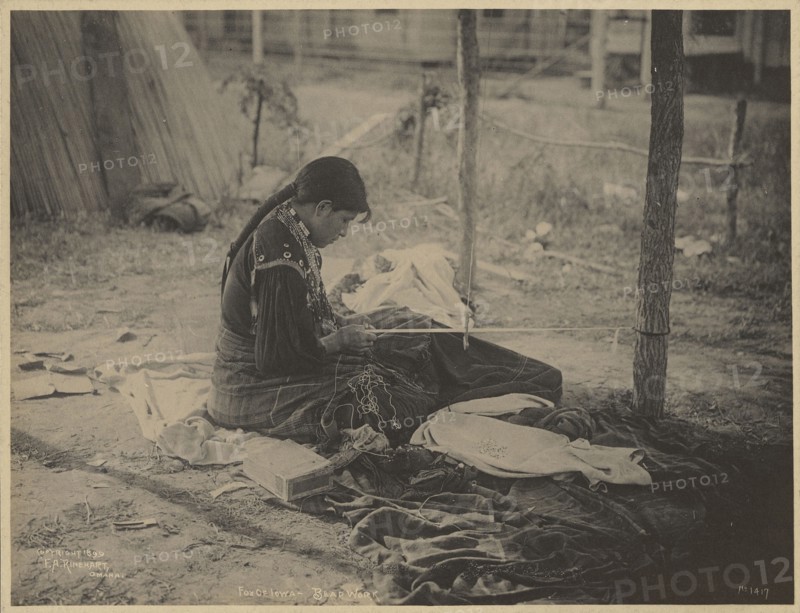 Fox of Iowa, Bead Work; Adolph F. Muhr, American, died 1913, Frank A. Rinehart, American, 1861 - 1928, 1899; Platinum print