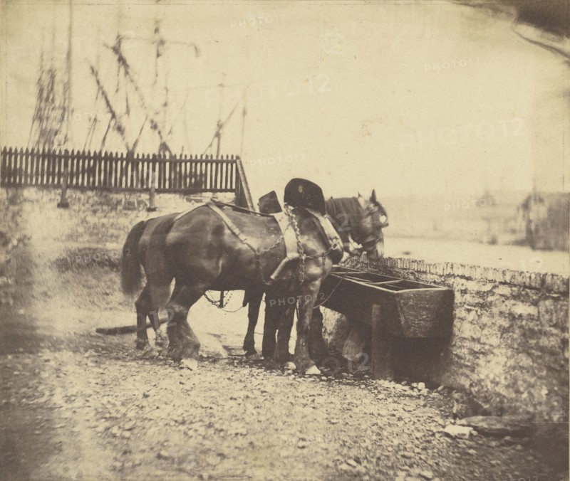 Horses at a trough; John Bevan Hazard, English, 1831 - 1892, 1850s; Salted paper print; 12.2 × 14.5 cm, 4 13,16 × 5 11,16 in