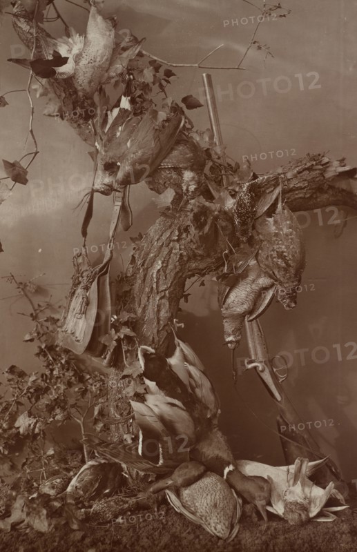 Still Life: Dead Game; Adolphe Braun, French, 1811 - 1877, about 1880; Carbon print; 69.7 x 45.2 cm, 27 7,16 x 17 13,16 in