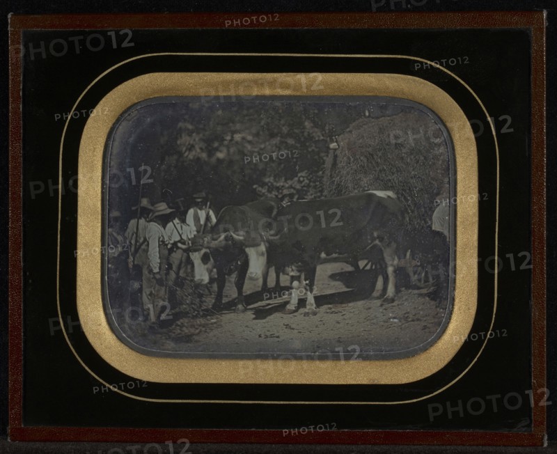 Peasants with oxen and wagon; Jean-Gabriel Eynard, Swiss, 1775 - 1863, about 1847; Daguerreotype