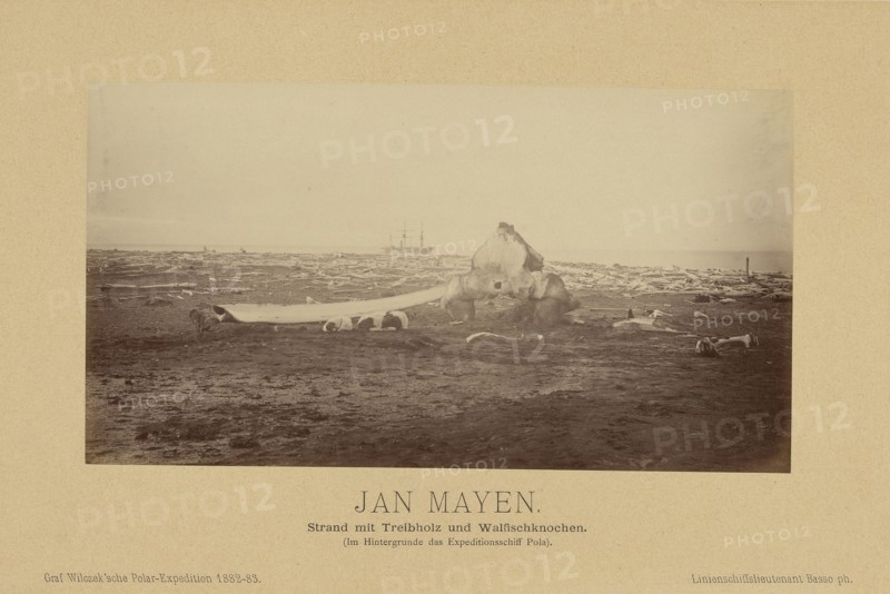 Jan Mayen, Strand mit Treibholz und Walfischknochen., Im Hintergrunde des Expeditionsschiff Pola);, Linienschiffs-Lieutenant