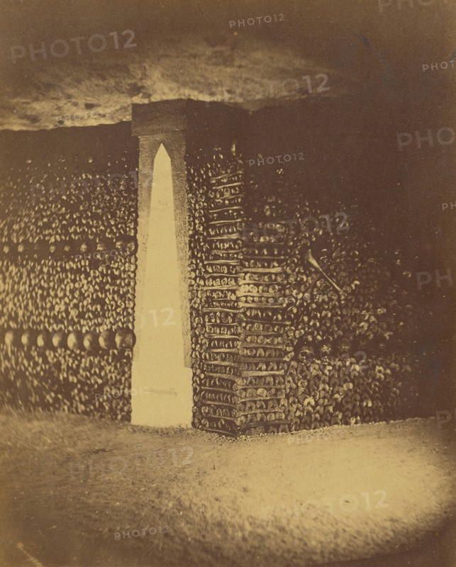 Layers of Tibias; Nadar, Gaspard Félix Tournachon, French, 1820 - 1910, 1861; Albumen silver print