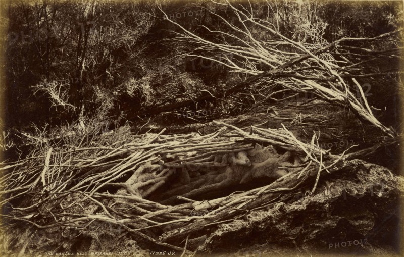 The Eagle's Nest, Wairakei, New Zealand; Valentine & Sons, Scottish, 1851 - 1910, New Zealand; about 1892; Gelatin silver print