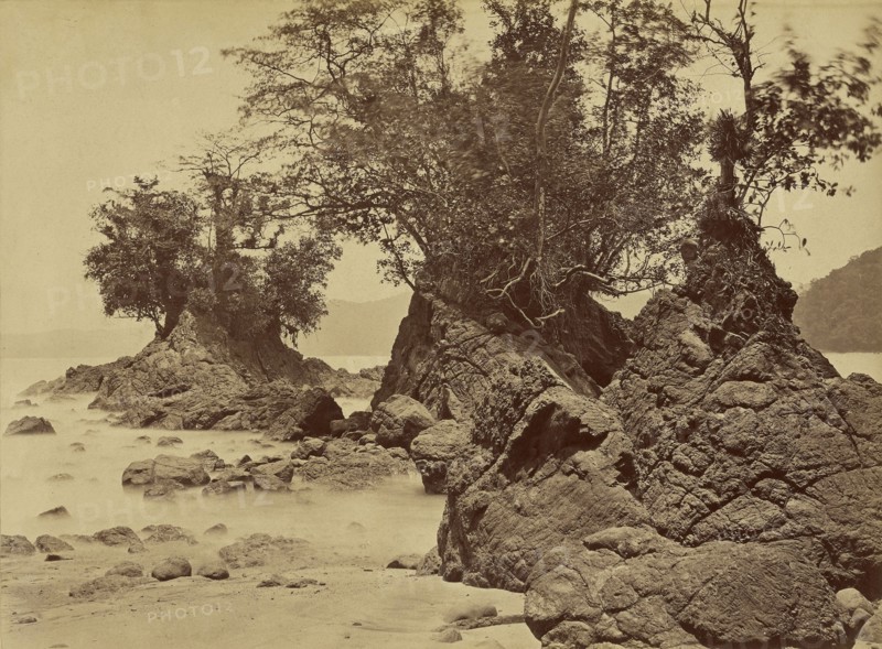 Tropical Scenery, Islands, Limon Bay; John Moran, American, born England, 1829 - 1902, 1871; Albumen silver print