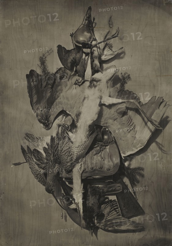 Still Life with Game; Adolphe Braun, French, 1811 - 1877, 1865; Carbon print; 75.1 x 54 cm, 29 9,16 x 21 1,4 in