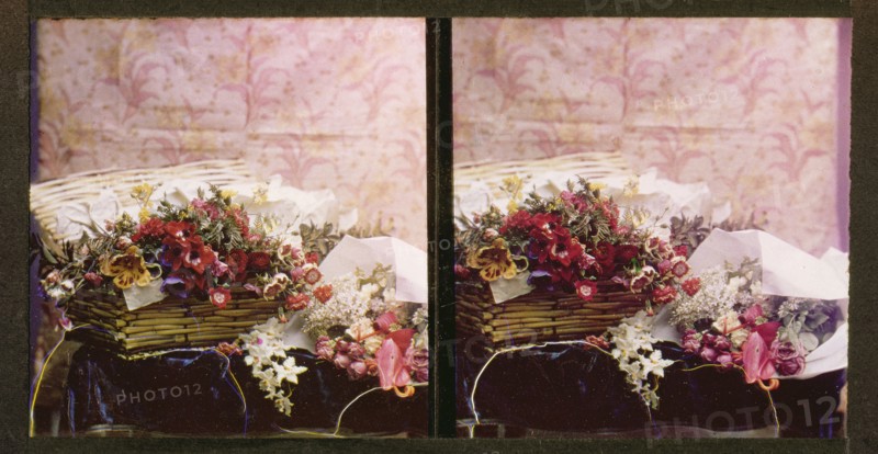 Still life of flowers in a basket; Lumière Brothers; 1907; All-Chroma autochrome; 7 x 6.7 cm 2 3,4 x 2 5,8 in