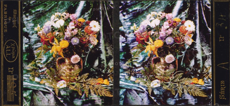 Still life of flowers and ferns; Lumière Brothers; 1907; All-Chroma autochrome; 7 x 6.7 cm 2 3,4 x 2 5,8 in