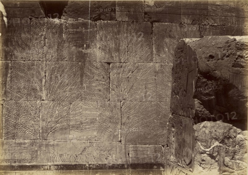 Dec el Bahari; Antonio Beato, English, born Italy, about 1835 - 1906, 1860 - 1869; Albumen silver print