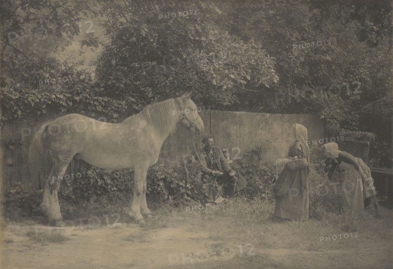 Old Dapple; Henry Peach Robinson, British, 1830 - 1901, 1899; Platinum print; 43.8 x 65.7 cm, 17 1,4 x 25 7,8 in